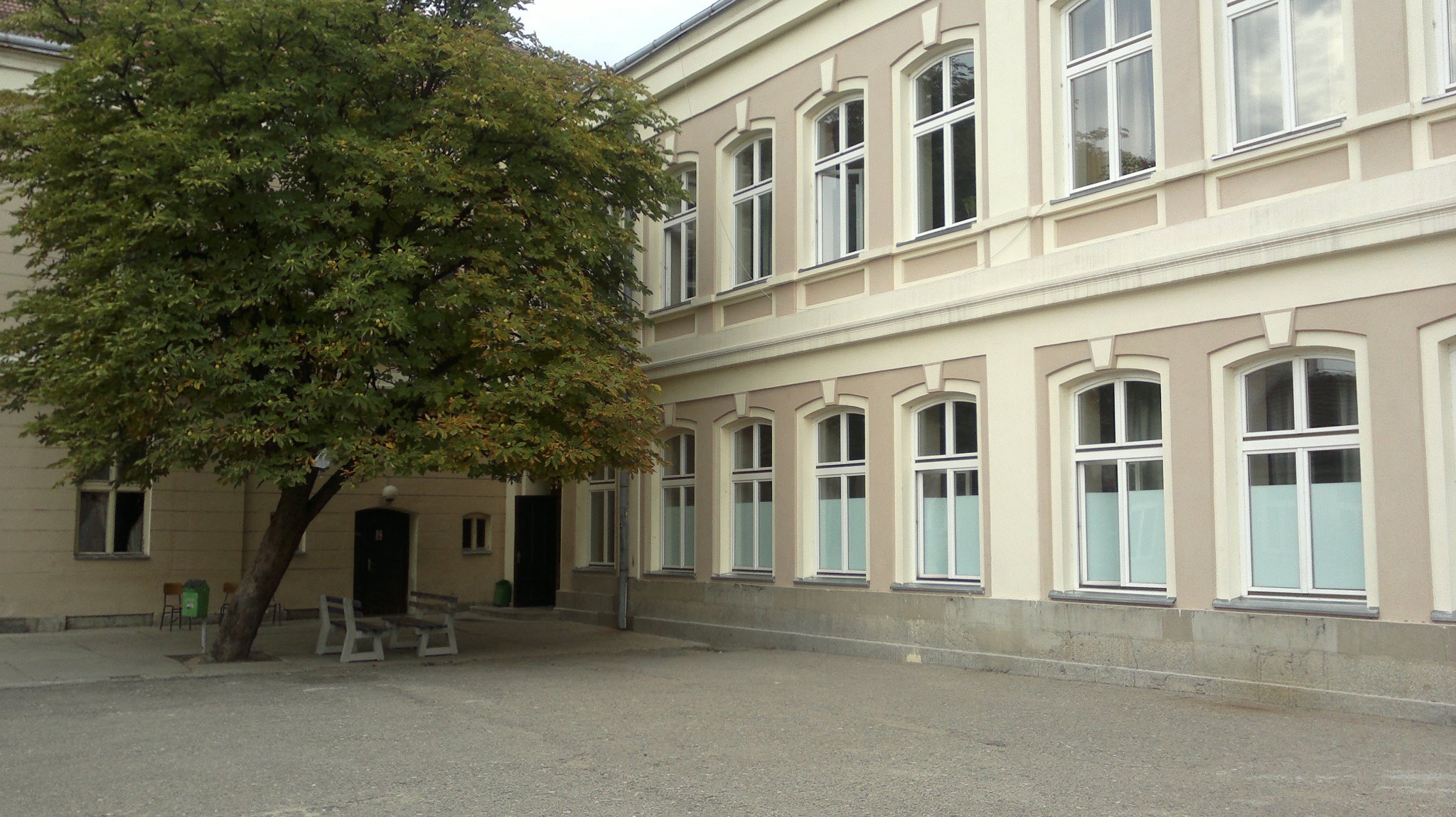 Negotinska gimnazija